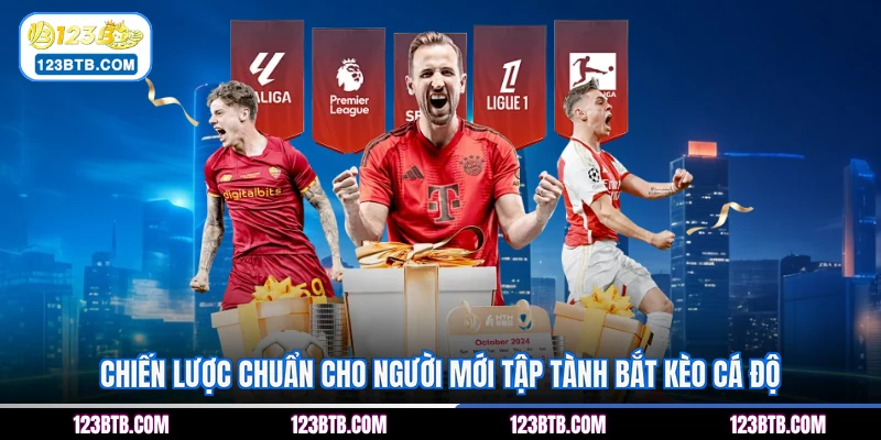 Chiến lược chuẩn cho người mới tập tành bắt kèo cá độ