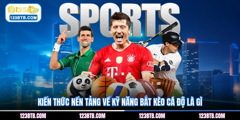 Kiến thức nền tảng về kỹ năng bắt kèo cá độ là gì