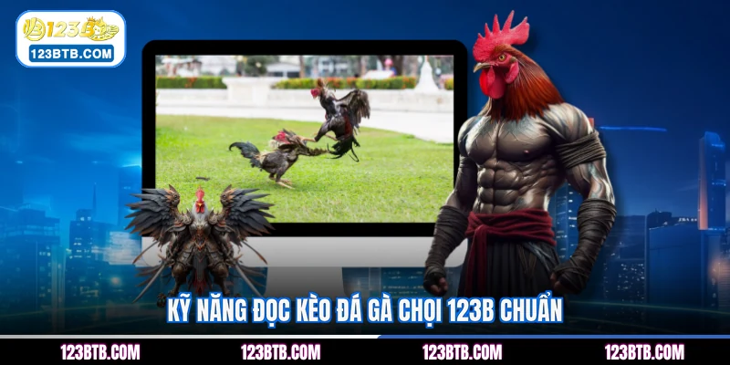 Kỹ năng đọc kèo đá gà chọi 123B chuẩn