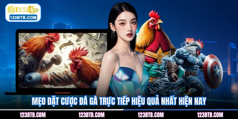 Mẹo đặt cược đá gà trực tiếp hiệu quả nhất hiện nay