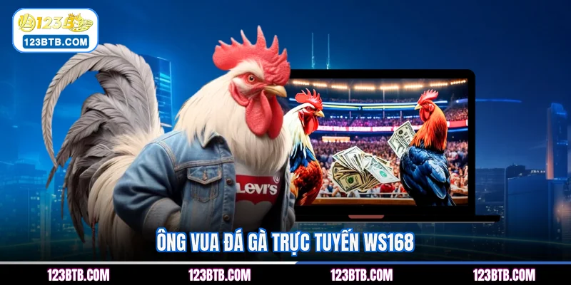 Ông vua đá gà trực tuyến WS168