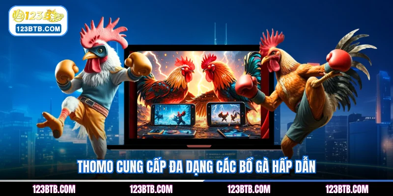 Thomo cung cấp đa dạng các bồ gà hấp dẫn
