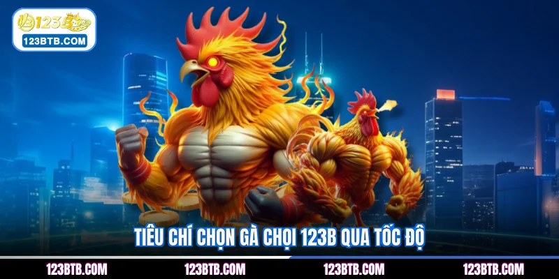 Tiêu chí chọn gà chọi 123B qua tốc độ